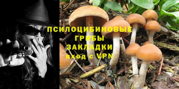 винт Алексин
