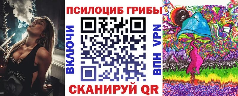 omg это клад Псилоцибиновые грибы Psilocybine cubensis купить наркотик Анадырь