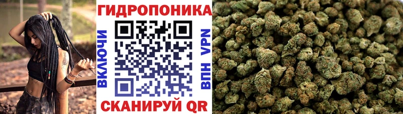 ОМГ ОМГ зеркало Анадырь Конопля индика